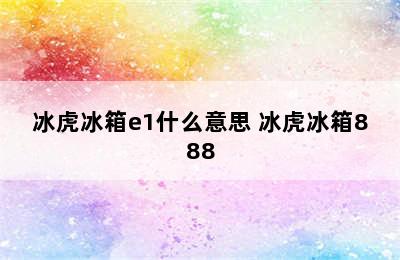 冰虎冰箱e1什么意思 冰虎冰箱888